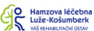 Hamzův rok 2018 1